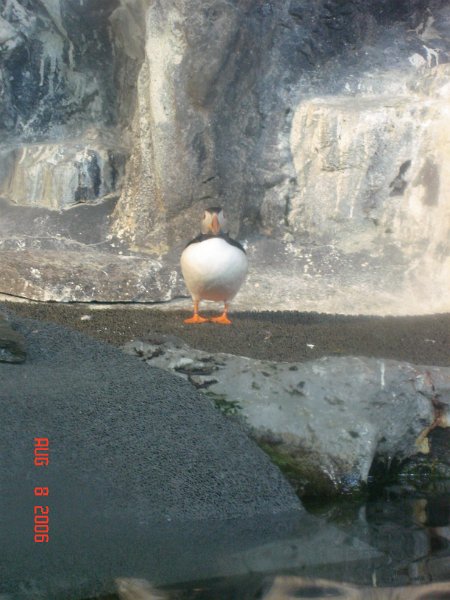 DSC00665.JPG