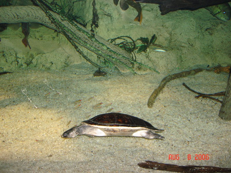 DSC00680.JPG