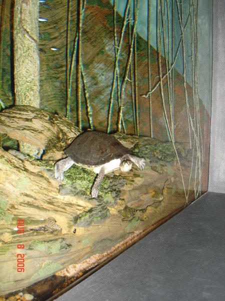 DSC00699.JPG