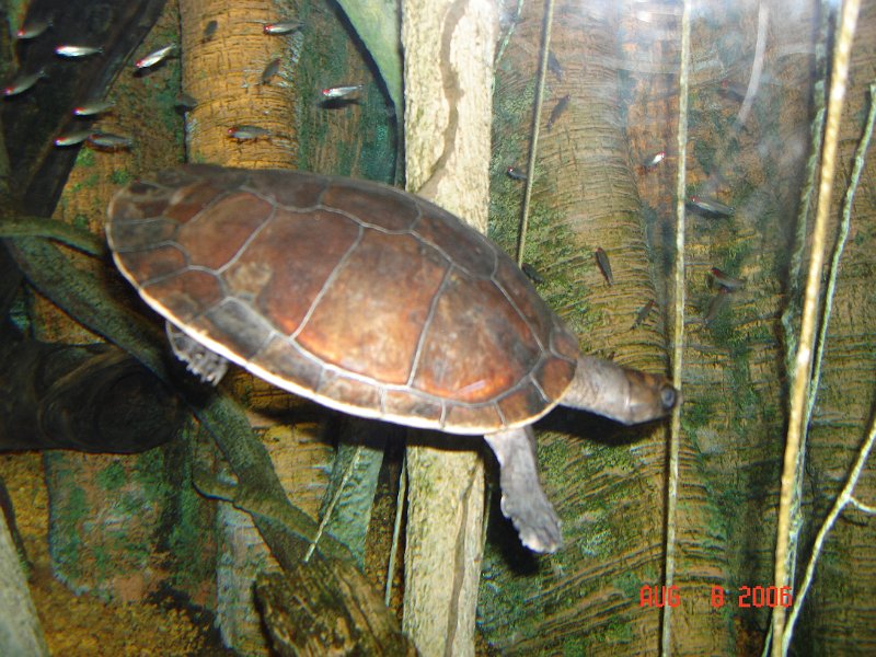 DSC00708.JPG