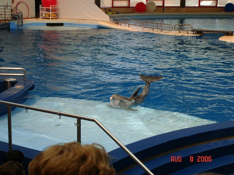 DSC00726.JPG