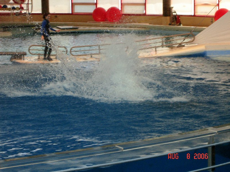 DSC00728.JPG