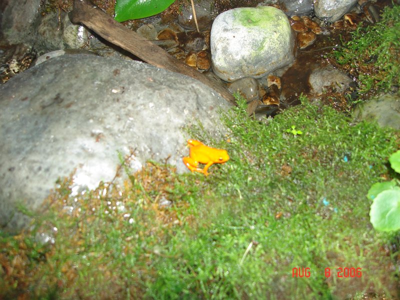 DSC00765.JPG