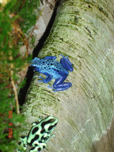 DSC00772.JPG