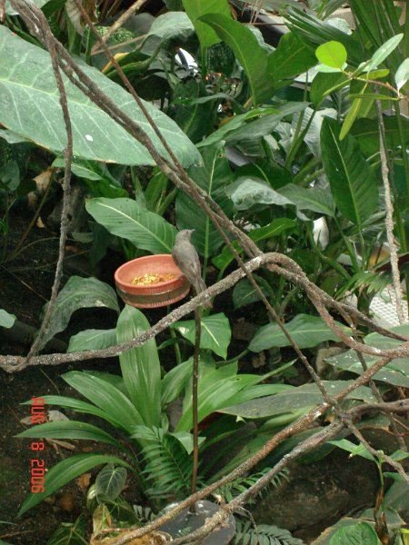 DSC00785.JPG