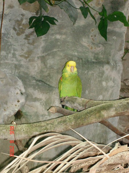 DSC00788.JPG