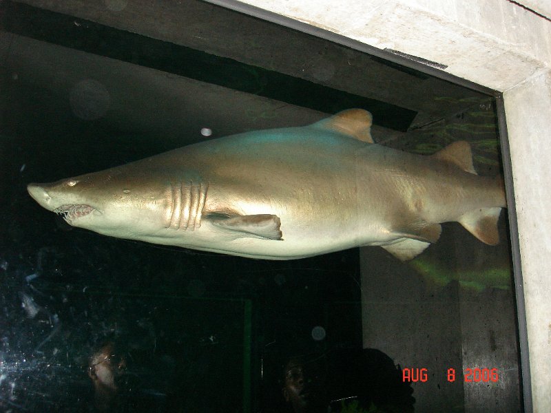 DSC00807.JPG
