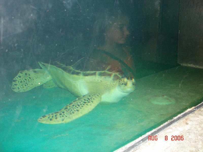 DSC00833.JPG
