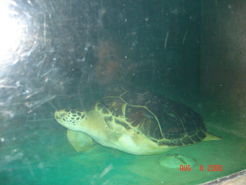 DSC00835.JPG