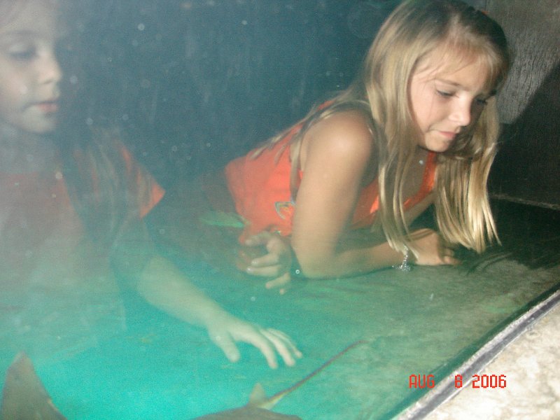 DSC00845.JPG
