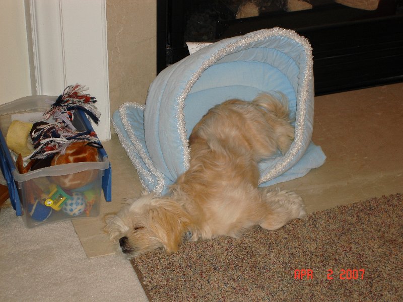DSC01114.JPG