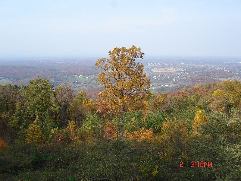 DSC03006.JPG