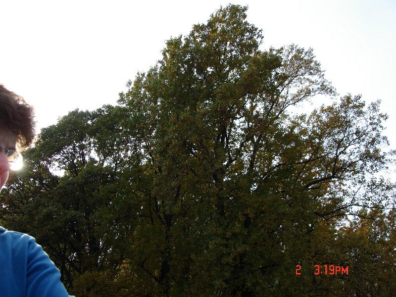 DSC03010.JPG