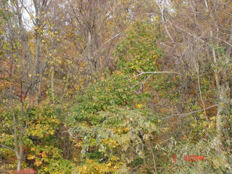 DSC03012.JPG