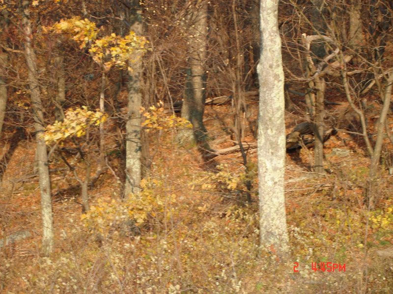 DSC03021.JPG