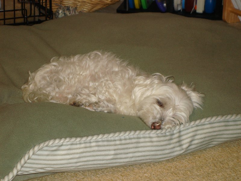 DSC02784.JPG