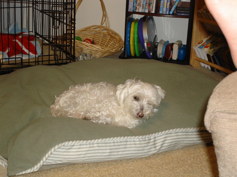 DSC02788.JPG