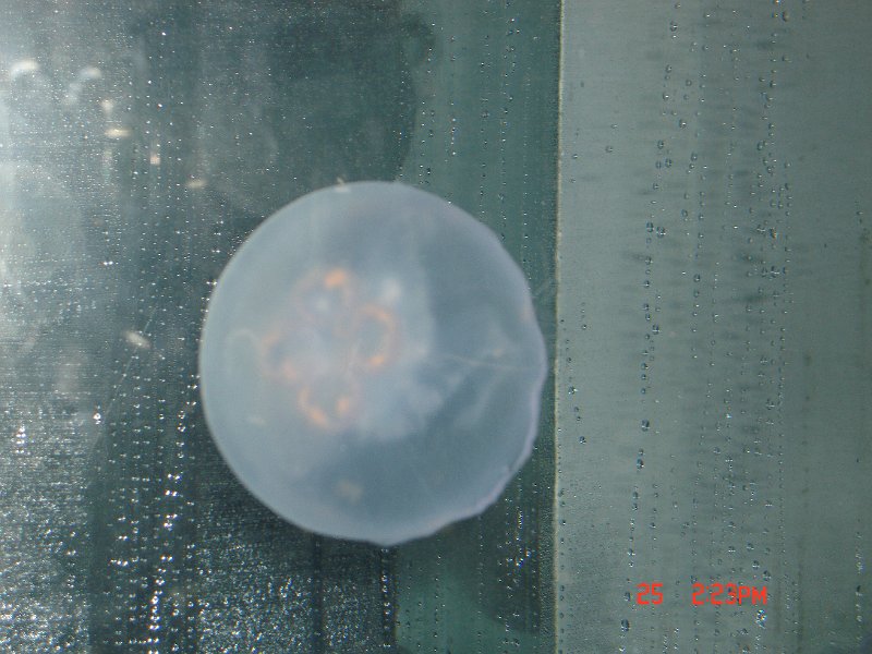 DSC03732.JPG