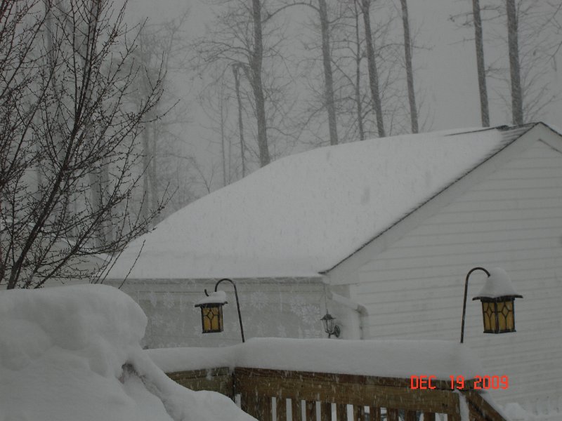 DSC03950.JPG