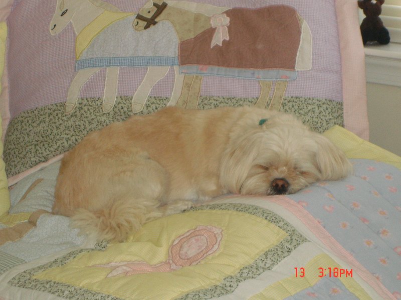 DSC03293.JPG