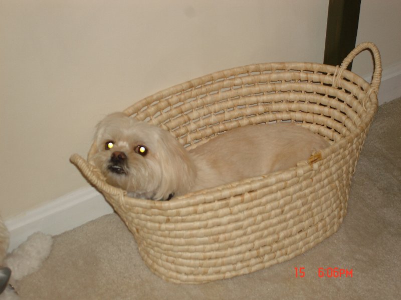 DSC03820.JPG