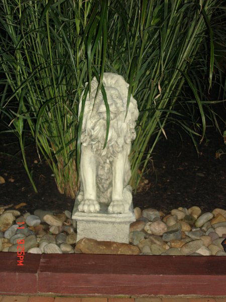 DSC03549.JPG