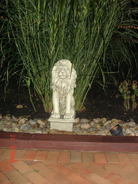 DSC03571.JPG