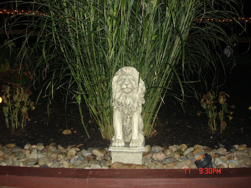 DSC03572.JPG