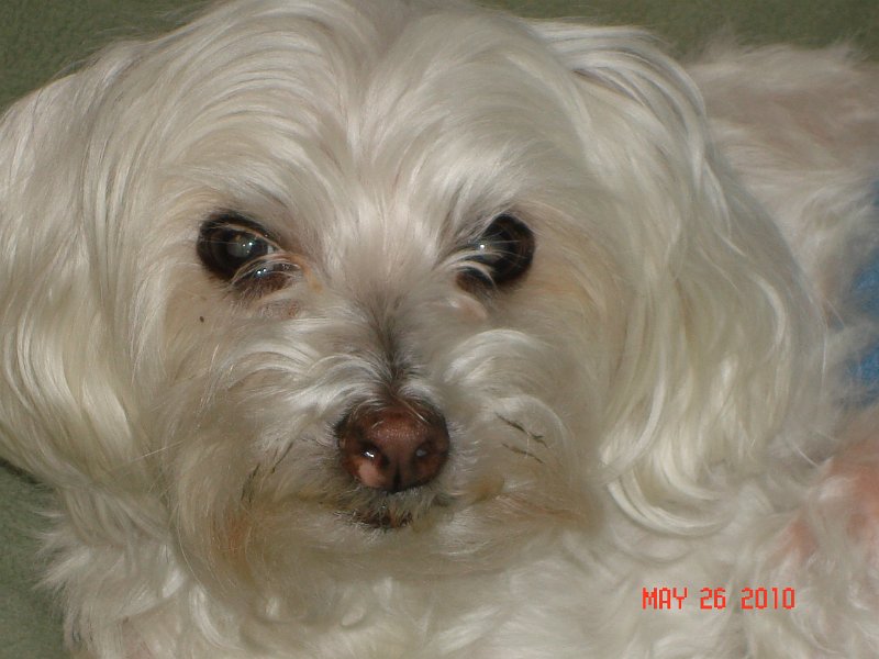 DSC04326.JPG