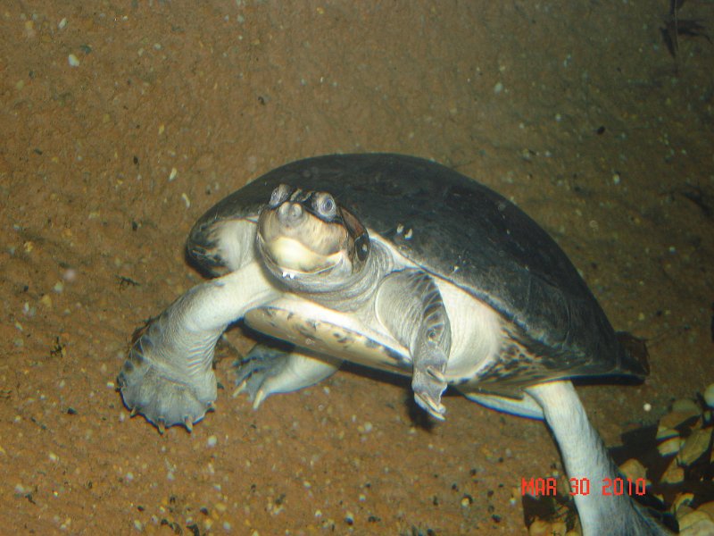 DSC04205.JPG