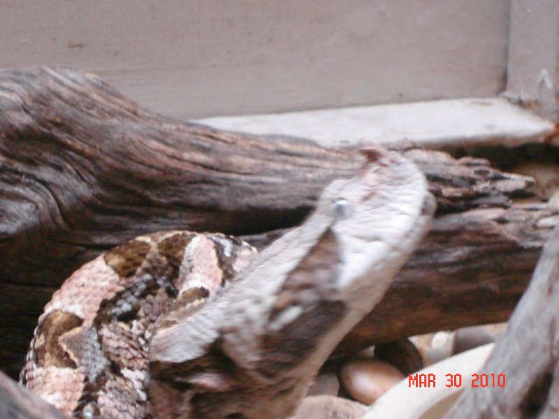 DSC04231.JPG