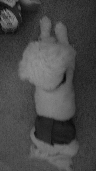 100_1620.JPG