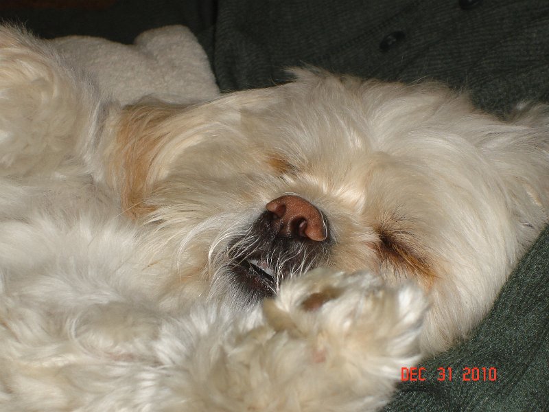 DSC05004.JPG