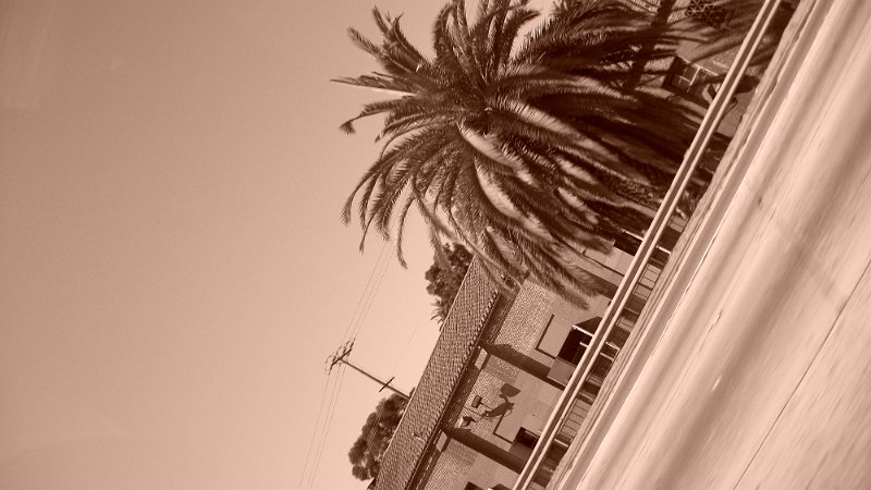 100_0540.JPG