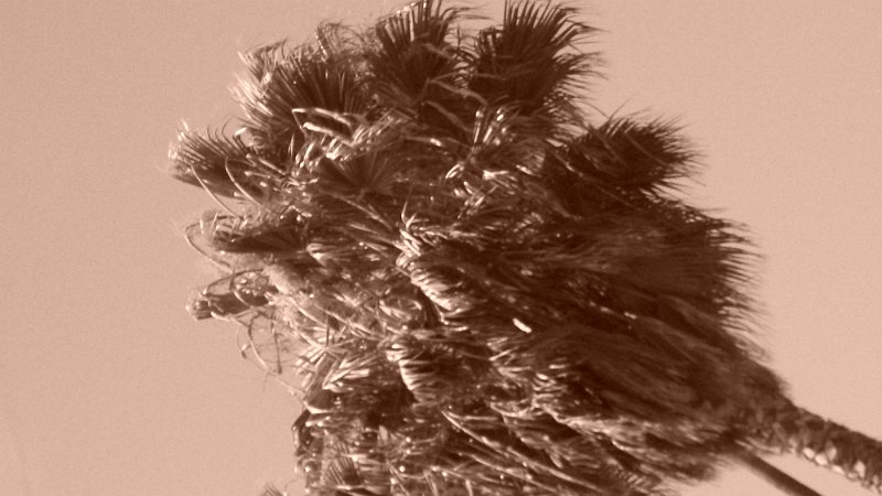 100_0541.JPG