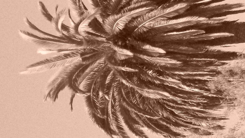 100_0543.JPG