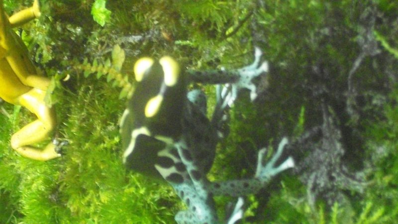 100_1028.JPG