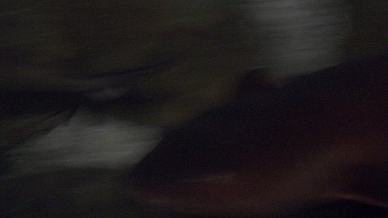 100_1035.JPG