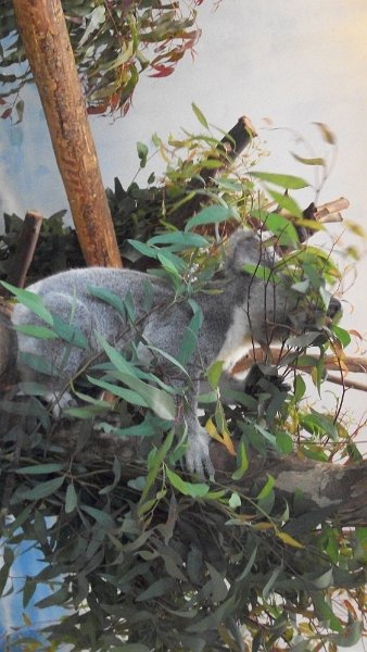 100_0615.JPG