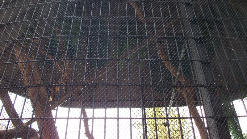 100_0628.JPG