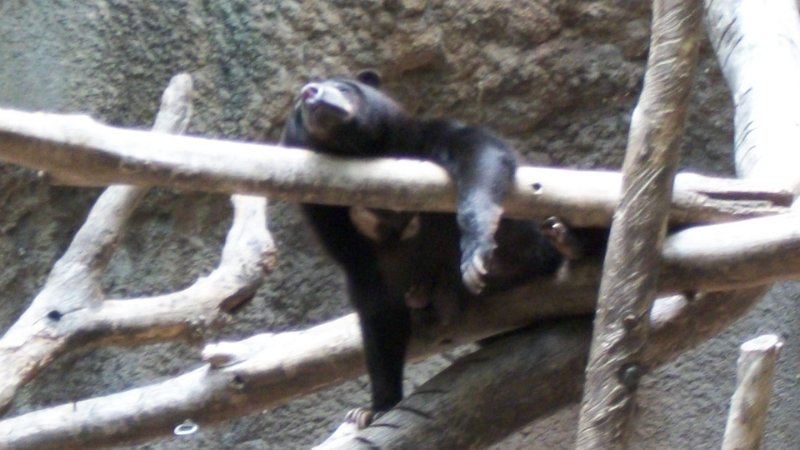 100_0631.JPG