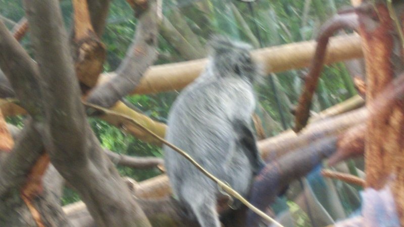 100_0633.JPG