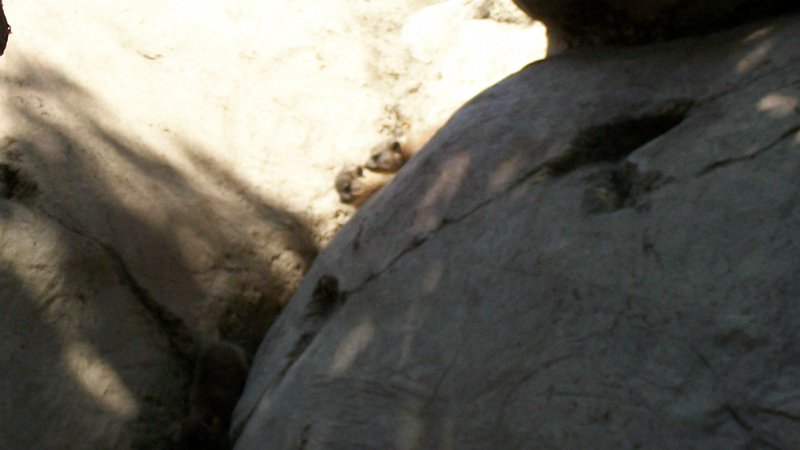 100_0706.JPG