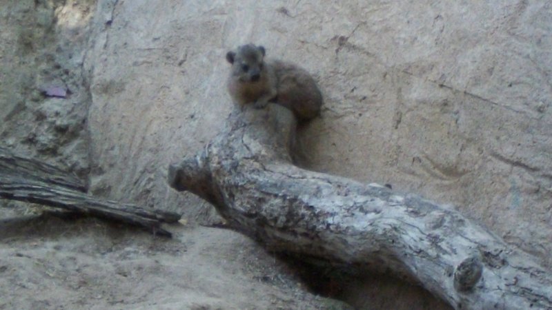100_0710.JPG