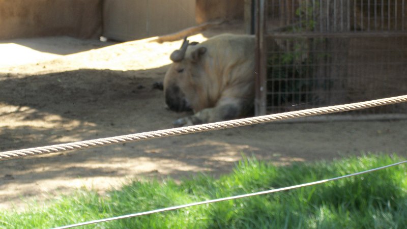 100_0775.JPG
