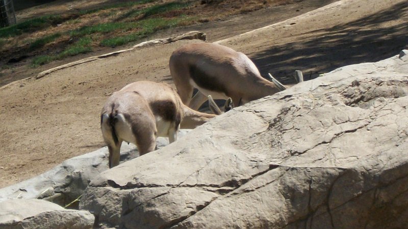 100_0784.JPG