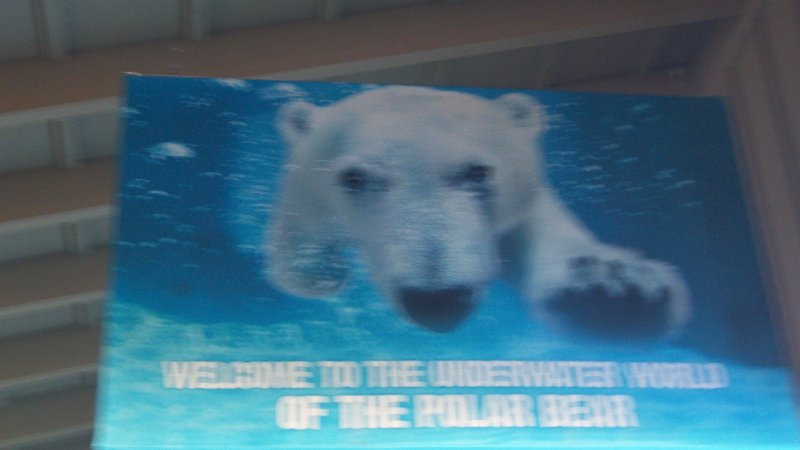 100_0792.JPG