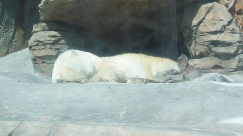 100_0793.JPG