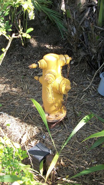 100_0817.JPG