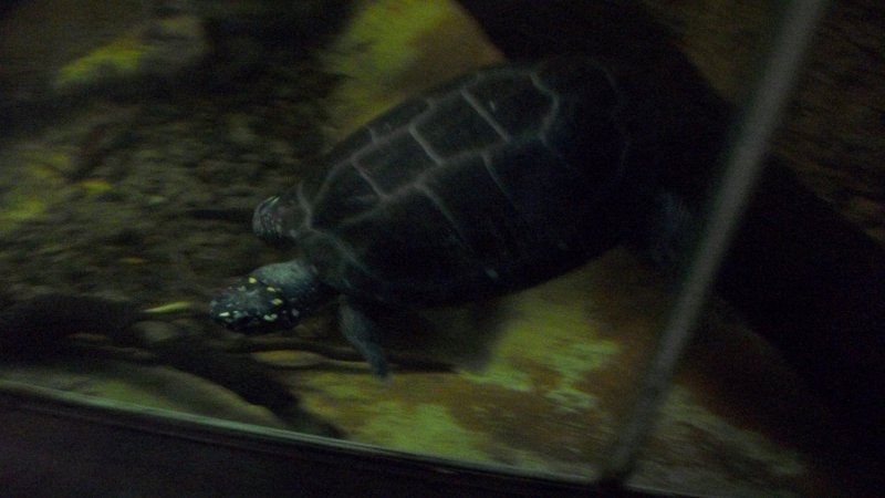 100_0849.JPG